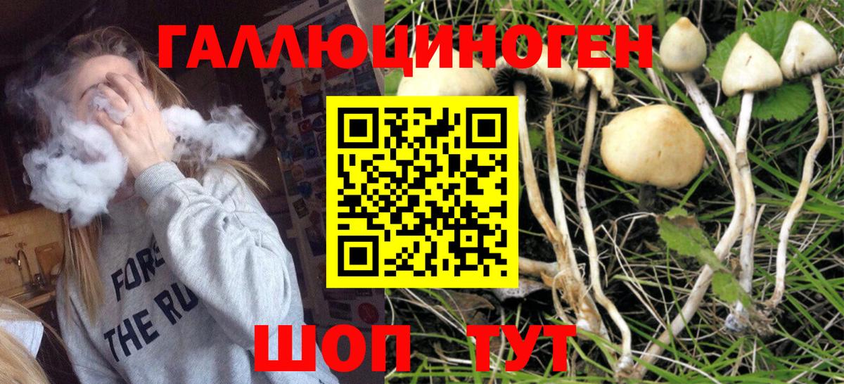 Псилоцибиновые грибы GOLDEN TEACHER Пенза