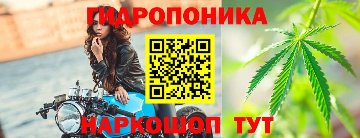 Пенза  МАРИХУАНА OG Kush  Конопля Bruce Banner  Марихуана план  Марихуана OG Kush  Вход с VPN 